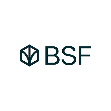 BSF